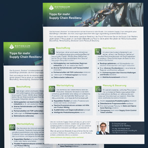 Mock-Up zum One-Pager Supply Chain Resilienz.