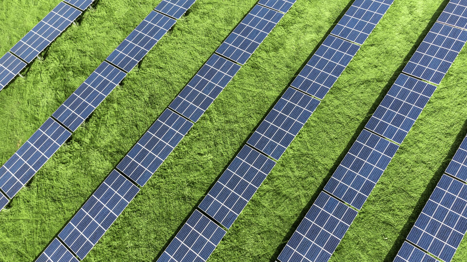 Headerbild zum Blogartikel "Wie Process Mining Ihr Unternehmen nachhaltiger macht", zeigt Solaranlage auf grüner Wiese .